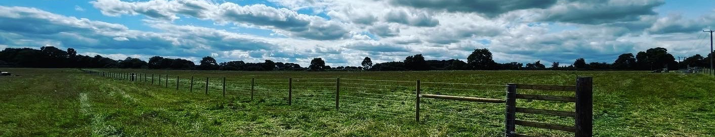Stock fence dividing field